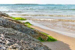 il rocce su il spiaggia, un' popolare destinazione per estate viaggio nel mediterraneo mare. foto