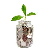 pianta a foglia verde su monete risparmiate, concetto di investimento bancario di risparmio di finanza aziendale. foto