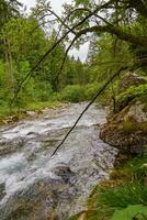 escursioni a piedi nel Austria foto