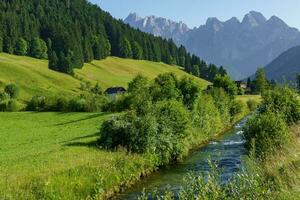 estate tempo nel bellissimo Austria foto