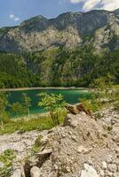 il natura di Austria foto