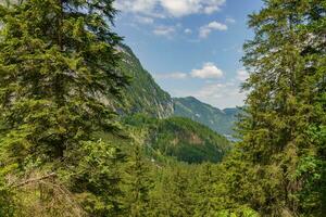 estate tempo nel bellissimo Austria foto