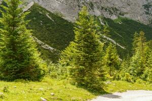 estate tempo nel bellissimo Austria foto