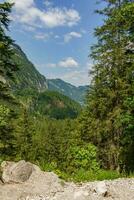 il natura di Austria foto