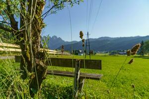 estate tempo nel bellissimo Austria foto