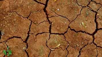 il terra ha crepe nel il superiore Visualizza per il sfondo foto