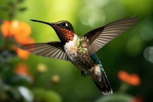colibrì volante e diffusione loro code al di sopra di vivace fiori. ai generato foto
