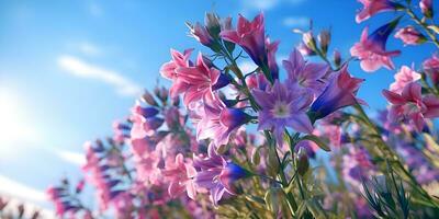 campanula rosa fiori nel il campo contro blu cielo, ai creare foto