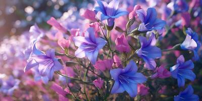 campanula rosa fiori nel il campo contro blu cielo, ai creare foto