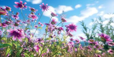 si abbassa camomilla viola selvaggio piselli fiori nel il campo, ai creare foto