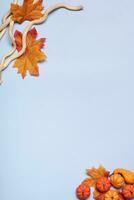 blu sfondo con autunno le foglie e di legno rami. copia spazio foto