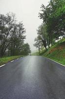 strada con vegetazione verde nella foresta foto