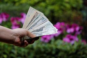 mano di una donna che tiene banconote in dollari americani in un giardino