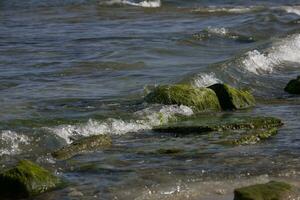 mare paesaggio con un' masso coperto di vegetazione con verde alghe e onde di il mare nel il sfondo foto