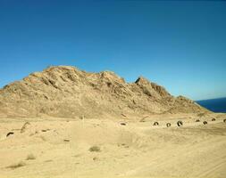 deserto terra con montagne e mare foto