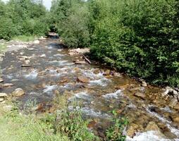 montagna fiume e verde cespugli foto