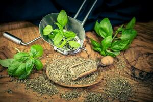 fresco secco basilico ocimum basilicum a partire dal nostro proprio giardino foto