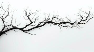 bianca sfondo isolato albero rami. silhouette concetto foto