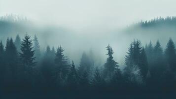 nebbia copertura nevoso foresta. silhouette concetto foto