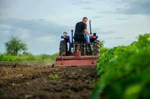 Cherson oblast, Ucraina - Maggio 29, 2021 un' contadino su un' trattore lavori nel il campo. di stagione lavoratore. reclutamento e assumere dipendenti per opera nel il azienda agricola. fresatura suolo. allentamento , coltivazione. aratura foto