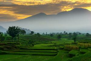 bellissimo mattina Visualizza Indonesia panorama paesaggio risaia i campi con bellezza colore e cielo naturale leggero foto