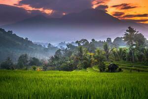 bellissimo mattina Visualizza Indonesia panorama paesaggio risaia i campi con bellezza colore e cielo naturale leggero foto