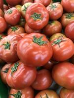 il mucchio di fresco rosso pomodori a partire dal il raccogliere nel il giardino. raccolto frutta e la verdura, fresco e appetitoso. pronto per essere venduto su il mercato. foto