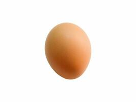 pollo uovo su bianca sfondo foto