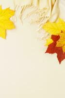 autunno le foglie con un' sciarpa su un' beige sfondo con copia spazio. bandiera foto