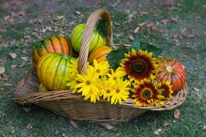 cestino pieno di frutta e autunno fiori foto