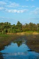 il Danubio delta è un' unico e biodiversità regione collocato nel sud-est Europa, in primis nel Romania foto