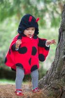 poco bambino ragazza indossare un' coccinella costume. Halloween concetto. foto