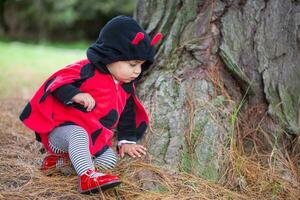 poco bambino ragazza indossare un' coccinella costume. Halloween concetto. foto