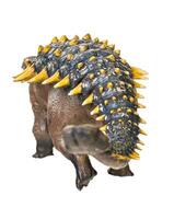 Ankylosaurus dinosauro , isolato sfondo foto