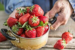 farme's mani hold un vecchio cucina pentola pieno di fresco maturo fragole foto