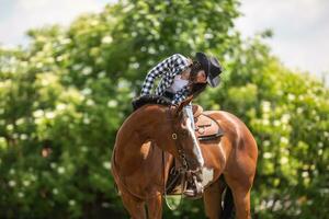 ragazza controlli su sua dipingere cavallo durante un' natura cavalcata foto