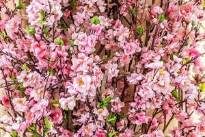 rami con fiori di sakura rosa su sfondo sfocato