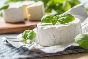 Camembert o Brie formaggio con basilico le foglie su tavolo foto