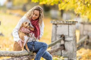un' bene guardare giovane donna è seduta nel il parco con sua cani foto