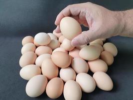 uovo biologico per una dieta sana con proteine e lipidi foto