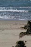 viaggi in spiaggia e turismo tropicale ad acapulco, in messico foto