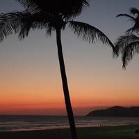sfondo per annunci di vacanze in luoghi tropicali foto