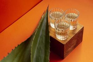 delizioso sfondo di assortimento di bevande alcoliche mezcal foto