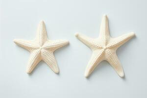 Due stella marina siamo dire bugie su un' bianca sfondo.. generato di artificiale intelligenza foto