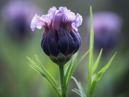 sognante e etereo - un' sbalorditivo macro tiro di un' viola iris - ai generato foto