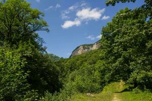 montagne e foresta sotto leggero blu cielo con nuvole foto