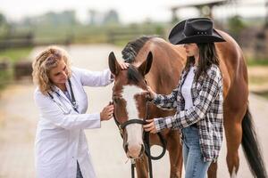 un' veterinario controlli il cavallo a il ranch mentre il proprietario detiene il animale foto