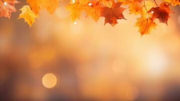 autunno sfondo con caduta le foglie foto