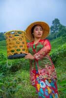 un' tè foglia contadino in posa con un' bambù cestino nel il suo mani presto foto