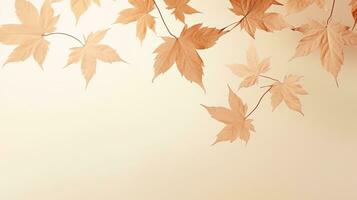 minimalista autunno sfondo con acero foglia ombre su beige. silhouette concetto foto